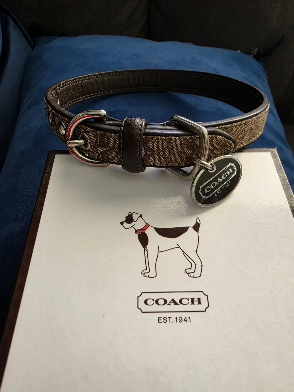 Coach Brown Signature Canvas Belt with Silver-Tone Hardware